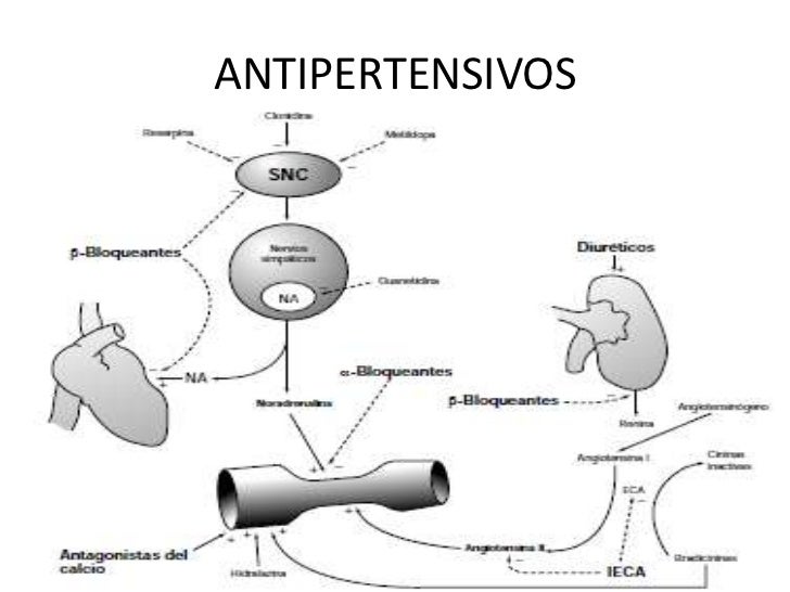 Antihipertensivos