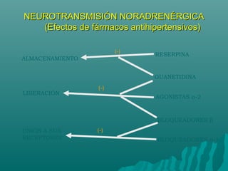 NEUROTRANSMISIÓN NORADRENÉRGICA
   (Efectos de fármacos antihipertensivos)

                       (-)
                              RESERPINA
ALMACENAMIENTO


                              GUANETIDINA
                 (-)
LIBERACIÓN
                              AGONISTAS α-2



                               BLOQUEADORES β
UNIÓN A SUS      (-)
RECEPTORES                     BLOQUEADORES α-1
 