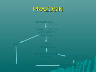 PRAZOSIN
                      BLOQUEO α-1


                      DISMINUCIÓN DE
                       LA RESPUESTA
                          MOTORA


     ↓RVP                 MAYOR
                       CAPACITANCIA

                      MENOR RETORNO
                         VENOSO            MENOR AUMENTO
                                         FRECUENCIA CARDIACA


DISMINUCIÓN PRESIÓN                    DISMINUCIÓN TRABAJO
      ARTERIAL                              CARDIACO
 