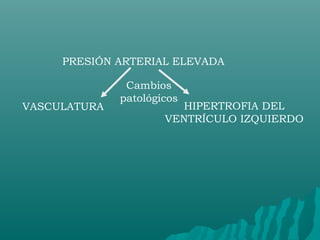 PRESIÓN ARTERIAL ELEVADA

               Cambios
              patológicos
VASCULATURA              HIPERTROFIA DEL
                      VENTRÍCULO IZQUIERDO
 