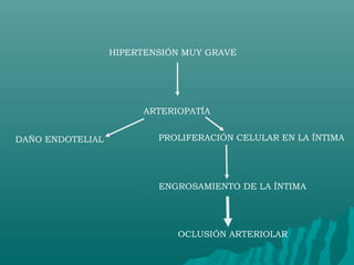 HIPERTENSIÓN MUY GRAVE




                       ARTERIOPATÍA


DAÑO ENDOTELIAL           PROLIFERACIÓN CELULAR EN LA ÍNTIMA




                          ENGROSAMIENTO DE LA ÍNTIMA




                             OCLUSIÓN ARTERIOLAR
 