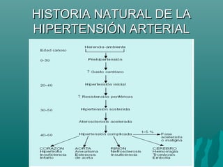 HISTORIA NATURAL DE LA
HIPERTENSIÓN ARTERIAL
 