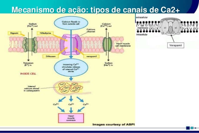 Bactrim Forte Precio De Remedios, Preço Do Bactrim F Generico, Bactrim