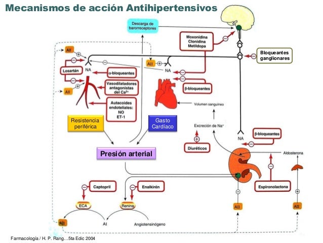 Antihipertensivos 2010 Antihipertensivos 2010