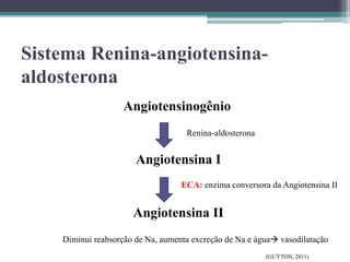 Sistema Renina-angiotensina-
aldosterona
Angiotensinogênio
Angiotensina I
Angiotensina II
Renina-aldosterona
ECA: enzima conversora da Angiotensina II
Diminui reabsorção de Na, aumenta excreção de Na e água vasodilatação
(GUYTON, 2011)
 