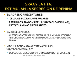 B1 ADRENORRECEPTORES: CELULAS YUXTAGLOMERULARES ESTIMULOS: Nad (SNS DEL A. YUXTAGLOMERULAR), CATECOLAMINAS CIRCULANTES BARORRECEPTORES:  ARTERIOLAS AFERENTES GLOMERULARES: A MENOR PRESION DE PERFUSION RENAL HAY AUMENTO LOCAL DE Pg. Y SECRECION DE RENINA MACULA DENSA ADYACENTE A CELULAS YUXTAGLOMERUALRES. DEPLECION DE SODIO    FORMACION DE Pg. VIA COX2 DRA. MILAGROS OCHOA MEDINA. USAT 