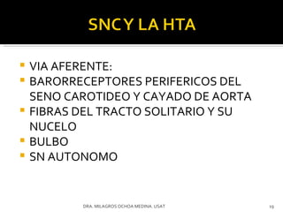 VIA AFERENTE: BARORRECEPTORES PERIFERICOS DEL SENO CAROTIDEO Y CAYADO DE AORTA FIBRAS DEL TRACTO SOLITARIO Y SU NUCELO BULBO SN AUTONOMO DRA. MILAGROS OCHOA MEDINA. USAT 