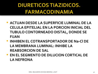 ACTUAN DESDE LA SUPERFICIE LUMINAL DE LA CELULA EPITELIAL EN LA PORCION INICIAL DEL TUBULO CONTORNEADO DISTAL, DONDE SE FIJAN  INHIBEN EL COTRANSPORTADOR DE Na-Cl DE LA MEMBRANA LUMINAL: INHIBE LA REABSORCION DE SAL EN EL SEGMENTO DE DILUCION CORTICAL DE LA NEFRONA DRA. MILAGROS OCHOA MEDINA. USAT 