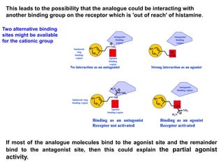 This leads to the possibility that the analogue could be interacting with
another binding group on the receptor which is 'out of reach' of histamine.
If most of the analogue molecules bind to the agonist site and the remainder
bind to the antagonist site, then this could explain the partial agonist
activity.
Two alternative binding
sites might be available
for the cationic group
Antagonist
binding
region
Agonist
binding
region
Imidazole
ring
binding
region
Antagonist
binding
region
NH3
HN
N
HN
N
NH3
No interaction as an antagonist Strong interaction as an agonist
Binding as an antagonist
Receptor not activated
Binding as an agonist
Receptor activated
Agonist
binding region
Imidazole ring
binding region
Antagonist
binding region
HN
N
NH
NH2
H2N
HN
N NH
H2N
NH2
 