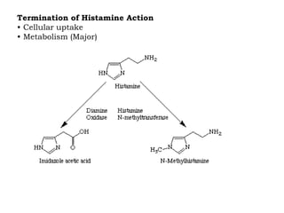 Termination of Histamine Action
• Cellular uptake
• Metabolism (Major)
 