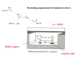 d
d ~ 4-6Ao
Bulky region
Anionic site
The binding requirements for histamine to the HI
 