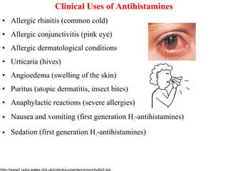 Clinical Uses of Antihistamines
• Allergic rhinitis (common cold)
• Allergic conjunctivitis (pink eye)
• Allergic dermatological conditions
• Urticaria (hives)
• Angioedema (swelling of the skin)
• Puritus (atopic dermatitis, insect bites)
• Anaphylactic reactions (severe allergies)
• Nausea and vomiting (first generation H1-antihistamines)
• Sedation (first generation H1-antihistamines)
 