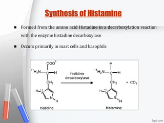 Synthesis of Histamine
■ Formed from the amino acid Histadine in a decarboxylation reaction
with the enzyme histadine decarboxylase
■ Occurs primarily in mast cells and basophils
 