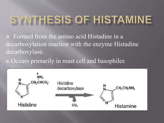  Formed from the amino acid Histadine in a
decarboxylation reaction with the enzyme Histadine
decarboxylase.
 Occurs primarily in mast cell and basophiles
 