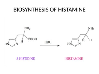 BIOSYNTHESIS OF HISTAMINE
 