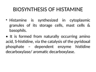 BIOSYNTHESIS OF HISTAMINE
• Histamine is synthesized in cytoplasmic
granules of its storage cells, mast cells &
basophils.
• It is formed from naturally occurring amino
acid, S-histidine, via the catalysis of the pyridoxal
phosphate – dependent enzyme histidine
decarboxylase/ aromatic decarboxylase.
 