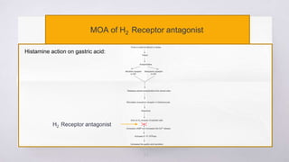 22
MOA of H2 Receptor antagonist
Histamine action on gastric acid:
H2 Receptor antagonist
 