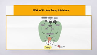 25
MOA of Proton Pump Inhibitors:
 