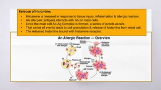 7
Release of Histamine:
• Histamine is released in response to tissue injury, inflammation & allergic reaction.
• An allergen (antigen) interacts with Ab on mast cells.
• Once the mast cell Ab-Ag Complex is formed, a series of events occurs.
• That series of events leads to cell granulation & release of histamine from mast cell.
• The released histamine bound with histamine receptor.
 