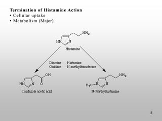 Termination of Histamine Action
• Cellular uptake
• Metabolism (Major)
5
 