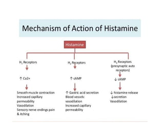 the uses and types of anti histamine drugs.pptx