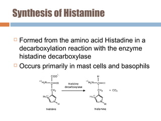 Synthesis of Histamine
 Formed from the amino acid Histadine in a
decarboxylation reaction with the enzyme
histadine decarboxylase
 Occurs primarily in mast cells and basophils
 
