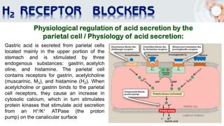 Gastric acid is secreted from parietal cells
located mainly in the upper portion of the
stomach and is stimulated by three
endogenous substances: gastrin, acetylch
oline, and histamine. The parietal cell
contains receptors for gastrin, acetylcholine
(muscarinic, M3), and histamine (H2). When
acetylcholine or gastrin binds to the parietal
cell receptors, they cause an increase in
cytosolic calcium, which in turn stimulates
protein kinases that stimulate acid secretion
from an H+/K+ ATPase (the proton
pump) on the canalicular surface
 