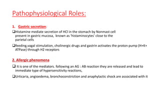Pathophysiological Roles:
1. Gastric secretion:
Histamine mediate secretion of HCl in the stomach by Nonmast cell
present in gastric mucosa, known as ‘histaminocytes’ close to the
parietal cells
feeding,vagal stimulation, cholinergic drugs and gastrin activates the proton pump (H+K+
ATPase) through H2 receptors
2. Allergic phenomena
 It is one of the mediators. following an AG : AB reaction they are released and lead to
immediate type of hypersensitivity reactions,
Urticaria, angioedema, bronchoconstriction and anaphylactic shock are associated with it
 