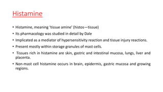 Histamine
• Histamine, meaning ‘tissue amine’ (histos—tissue)
• Its pharmacology was studied in detail by Dale
• Implicated as a mediator of hypersensitivity reaction and tissue injury reactions.
• Present mostly within storage granules of mast cells.
• Tissues rich in histamine are skin, gastric and intestinal mucosa, lungs, liver and
placenta.
• Non-mast cell histamine occurs in brain, epidermis, gastric mucosa and growing
regions.
 