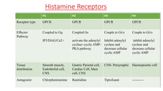 Histamine Receptors
H1 H2 H3 H4
Receptor type GPCR GPCR GPCR GPCR
Effector
Pathway
Coupled to Gq
IP3/DAG/Ca2+
Coupled Gs
activate the adenylyl
cyclase–cyclic AMP–
PKA pathway
Couple to Gi/o
Inhibit adenylyl
cyclase and
decrease cellular
cyclic AMP
Couple to Gi/o
inhibit adenylyl
cyclase and
decrease cellular
cyclic AMP
Tissue
distribution
Smooth muscle,
Endothelial cell,
CNS
Gastric Parietal cell,
Cardiac Cell, Mast
cell, CNS
CNS- Presynaptic Haemopoietic cell
Antagonist Chlorpheniramine Ranitidine Tiprolisant ----------
 