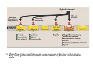 Fig: Effects of H1 antihistamines at histamine, adrenergic, cholinergic, and serotonin-binding receptors.
Many second generation antihistamines do not enter the brain and, therefore, show minimal CNS
effects.
 