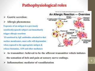 6
6
Pathophysiologicalroles
6
 Gastric secretion:
 Allergic phenomena:
Exposure of an antigen to a previously
sensitized(exposed) subject can immediately
trigger allergic reactions
¨If sensitized by IgE antibodies attached to their
surface membranes, mast cells will degranulate
when exposed to the appropriate antigen &
release histamine, ATP and other mediators
 As transmitter: believed to be the afferent transmitter which initiates
the sensation of itch and pain at sensory nerve endings.
 Inflammation: mediator of vasodilatation
 