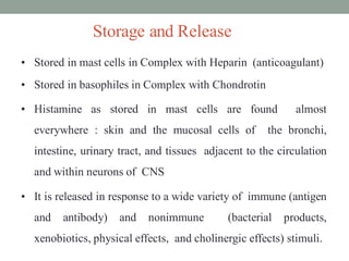 Storage and Release
• Stored in mast cells in Complex with Heparin (anticoagulant)
• Stored in basophiles in Complex with Chondrotin
• Histamine as stored in mast cells are found almost
everywhere : skin and the mucosal cells of the bronchi,
intestine, urinary tract, and tissues adjacent to the circulation
and within neurons of CNS
• It is released in response to a wide variety of immune (antigen
and antibody) and nonimmune (bacterial products,
xenobiotics, physical effects, and cholinergic effects) stimuli.
 