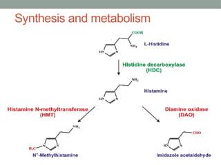 Synthesis and metabolism
• Histamine is derived from the decarboxylation of the amino
acid histidine, a reaction catalyzed by the enzyme L-
histidine decarboxylase.
• Rapidly inactivated by its primary degradative
enzymes, histamine-N-methyltransferase or diamine
oxidase.
 