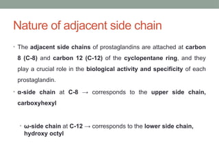 Nature of adjacent side chain
• The adjacent side chains of prostaglandins are attached at carbon
8 (C-8) and carbon 12 (C-12) of the cyclopentane ring, and they
play a crucial role in the biological activity and specificity of each
prostaglandin.
• α-side chain at C-8 → corresponds to the upper side chain,
carboxyhexyl
• ω-side chain at C-12 → corresponds to the lower side chain,
hydroxy octyl
 
