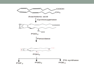 COOH
CH3
Arachidonic acid
Cyclooxygenase
PGG 2
Peroxidase
PGH2
PG synthase
PGF2
PGD2 PGE2
 