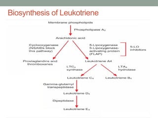 Biosynthesis of Leukotriene
 