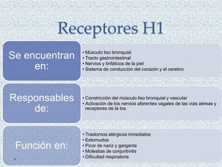 Receptores H1
• Músculo liso bronquial
• Tracto gastrointestinal
• Nervios y linfáticos de la piel
• Sistema de conducción del corazón y el cerebro
Se encuentran
en:
• Constricción del músculo liso bronquial y vascular
• Activación de los nervios aferentes vagales de las vías aéreas y
receptores de la tos
Responsables
de:
• Trastornos alérgicos inmediatos
• Estornudos
• Picor de nariz y garganta
• Molestias de conjuntivitis
• Dificultad respiratoria
Función en:
 