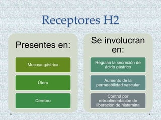 Receptores H2
Presentes en:
Mucosa gástrica
Útero
Cerebro
Se involucran
en:
Regulan la secreción de
ácido gástrico
Aumento de la
permeabilidad vascular
Control por
retroalimentación de
liberación de histamina
 