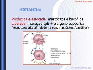 ANTI-HISTAMÍNICOS
www.adrianaschmidt.com
HISTAMINA
Produzida e estocada: mastócitos e basófilos
Liberada: interação IgE + alérgeno específica
(receptores alta afinidade na sup. mastócitos /basófilos)
 