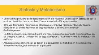 • La histamina proviene de la descarboxilación del histidina, una reacción catalizada por la
enzima L-histidina descarboxilasa. Es una amina hidrofílica y vasoactiva.
• Una vez formada la histamina, se almacena o se inactiva rápidamente. La histamina
liberada en las de las neuronas es degradada por la enzima acetaldehído
deshidrogenasa.
• La deficiencia de esta enzima dispara una reacción alérgica cuando la histamina fluye en
las sinapsis. Además, la histamina es degradada por la histamina-N- metiltransferasa y la
oxidasa .
• Algunas alergias alimenticias se deben a la conversión de histidina en histamina en los
alimentos cocidos, por ejemplo en el pescado.
 