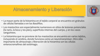 • La mayor parte de la histamina en el tejido corporal se encuentra en gránulos
de células llamadas o en los Basófilos.
• Los mastocitos son especialmente numerosos en sitios de lesiones potenciales
(la nariz, la boca y los pies), superficies internas del cuerpo, y en los vasos
sanguíneos.
• La histamina que no proviene de los mastocitos se encuentra en varios tejidos,
incluyendo el cerebro, donde funciona como un neurotransmisor. Otro sitio
importante de almacenaje y liberación de la histamina son las células
enterocromafines del estómago.
 