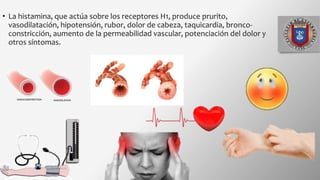 • La histamina, que actúa sobre los receptores H1, produce prurito,
vasodilatación, hipotensión, rubor, dolor de cabeza, taquicardia, bronco-
constricción, aumento de la permeabilidad vascular, potenciación del dolor y
otros síntomas.
 