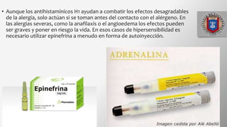 • Aunque los antihistamínicos H1 ayudan a combatir los efectos desagradables
de la alergia, solo actúan si se toman antes del contacto con el alérgeno. En
las alergias severas, como la anafilaxis o el angioedema los efectos pueden
ser graves y poner en riesgo la vida. En esos casos de hipersensibilidad es
necesario utilizar epinefrina a menudo en forma de autoinyección.
 