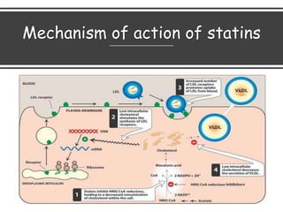 Mechanism of action of statins
 