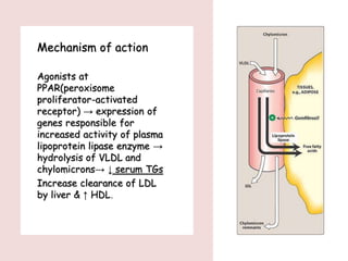 Mechanism of action
Agonists at
PPAR(peroxisome
proliferator-activated
receptor) → expression of
genes responsible for
increased activity of plasma
lipoprotein lipase enzyme →
hydrolysis of VLDL and
chylomicrons→ ↓ serum TGs
Increase clearance of LDL
by liver & ↑ HDL.
 
