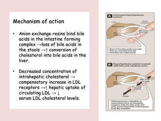 Mechanism of action
• Anion exchange resins bind bile
acids in the intestine forming
complex →loss of bile acids in
the stools →↑ conversion of
cholesterol into bile acids in the
liver.
• Decreased concentration of
intrahepatic cholesterol →
compensatory increase in LDL
receptors →↑ hepatic uptake of
circulating LDL → ↓
serum LDL cholesterol levels.
 