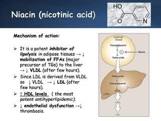 Niacin (nicotinic acid)
Mechanism of action:
 It is a potent inhibitor of
lipolysis in adipose tissues → ↓
mobilization of FFAs (major
precursor of TGs) to the liver
→ ↓ VLDL (after few hours).
 Since LDL is derived from VLDL
so ↓ VLDL → ↓ LDL (after
few hours).
 ↑ HDL levels ( the most
potent antihyperlipidemic).
 ↓ endothelial dysfunction →↓
thrombosis.
N
O
HO
 