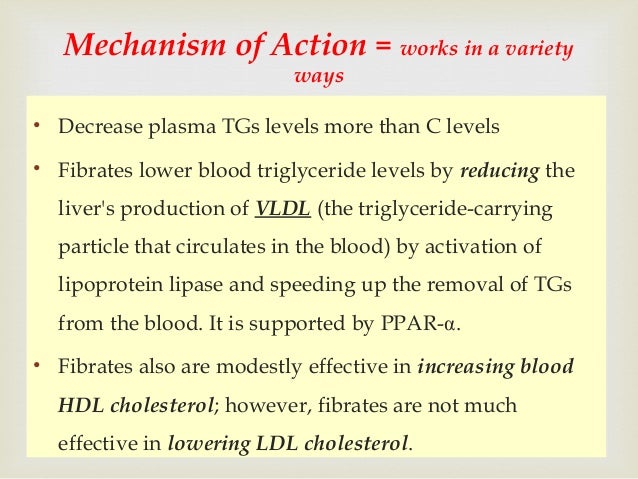 antihyperlipidemic drugs antihyperlipidemic