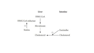 "Pharmacology of Antihyperlipidemic Drugs"